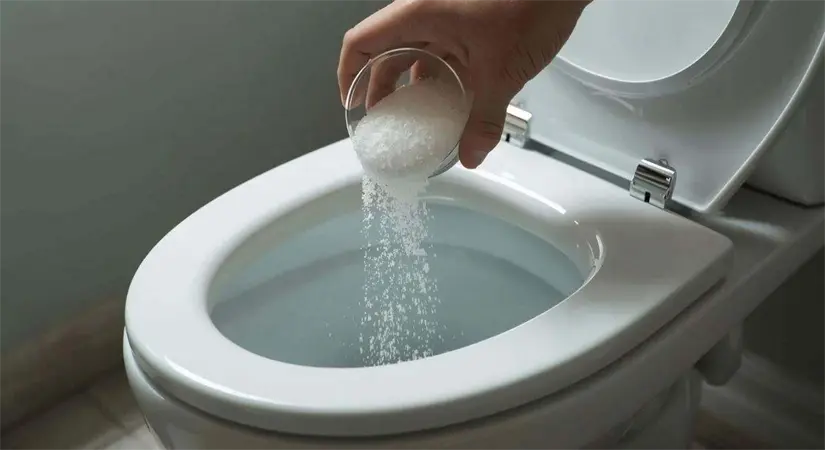 La sal ayuda a eliminar los gérmenes y bacterias. Foto: Cortesía