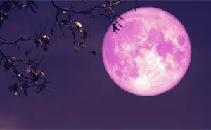 Luna Rosa en México hoy 1 de abril 2026: ¿Dónde y a que hora ver el fenómeno?