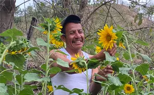 “Era su flor favorita”: el padre que convirtió el dolor en un campo de girasoles
