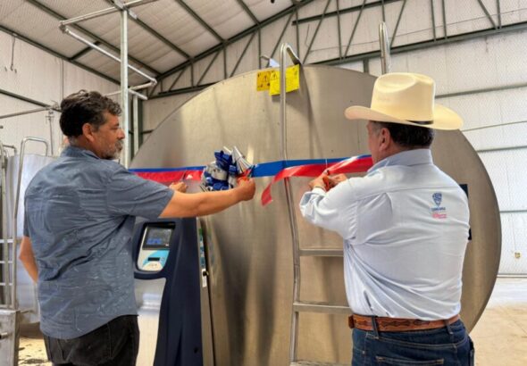 Abren apoyos para centros de acopio de leche