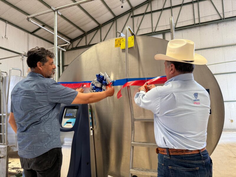 Abren apoyos para centros de acopio de leche