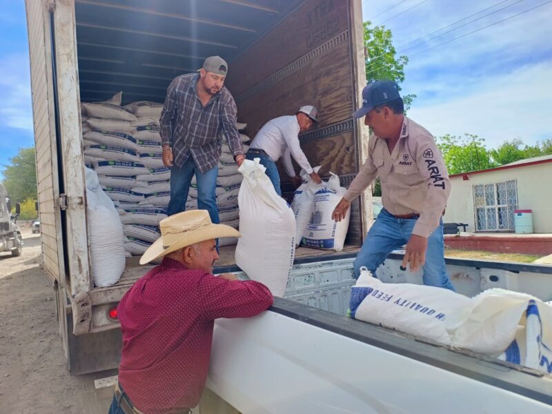Abren apoyos para insumos pecuarios en Chihuahua