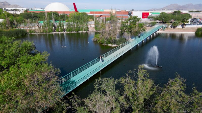Noticias Chihuahua Pausa.MX Chihuahua celebra el día del niño con actividades llenas de magia