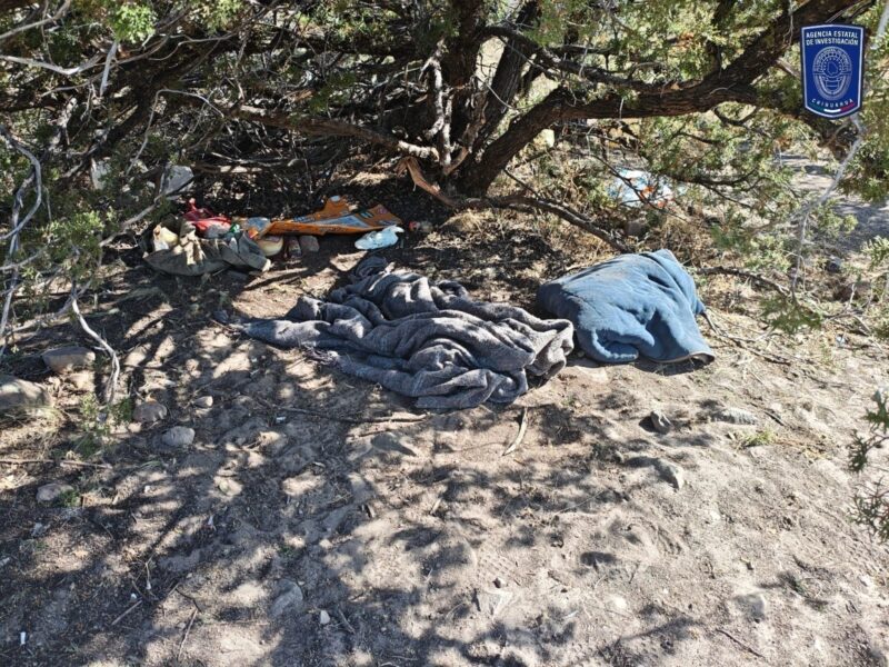 Detienen en Nonoava a civil armado y destruyen cuatro campamentos