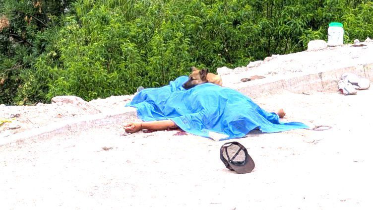 Ejecutan a hombre en arroyo de Chihuahua; su perro no se separó del cuerpo