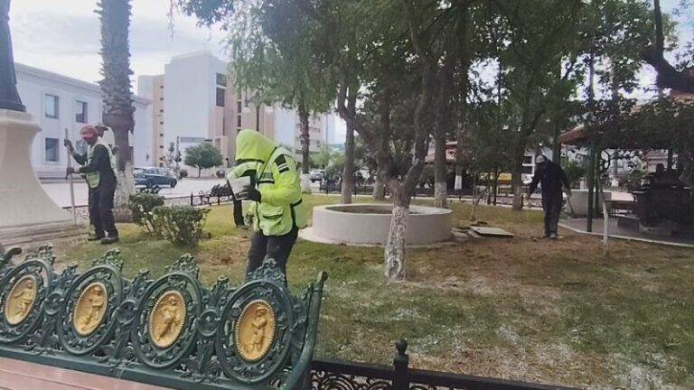 Fertilizan áreas verdes de Plaza Hidalgo