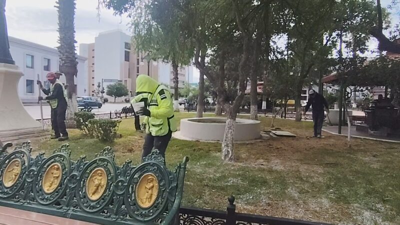 Fertilizan áreas verdes de Plaza Hidalgo