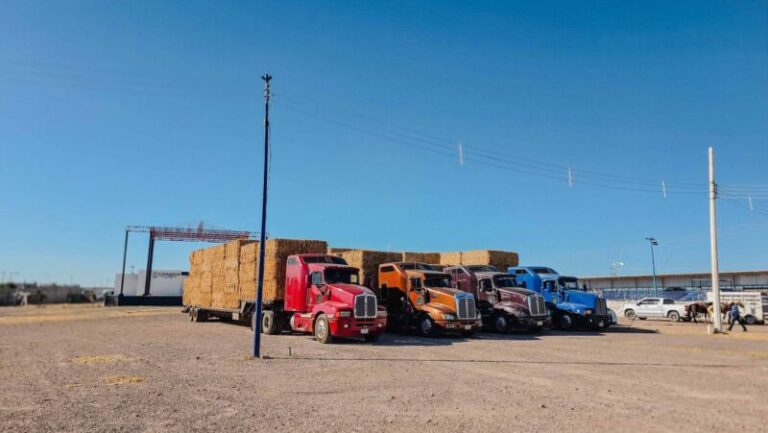 Gobierno Municipal y Gobierno del Estado superan este año las 1,200 pacas de rastrojo entregadas a productores camarguenses