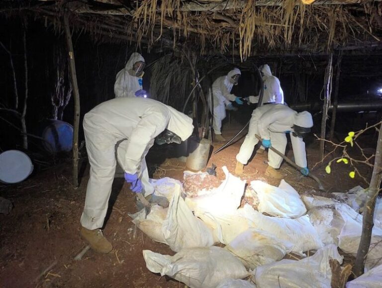 Golpe al crimen organizado: decomisos históricos sacuden redes del narcotráfico