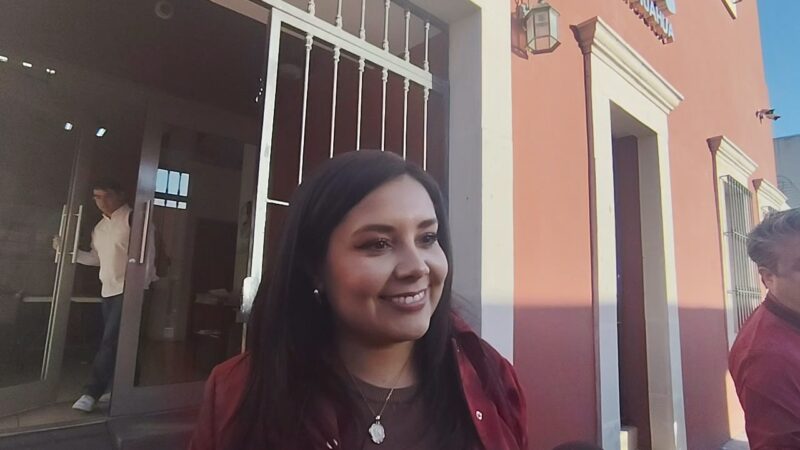 Preocupante ausencia de Brighitte Granados en consejo de Morena: Mayra Chávez