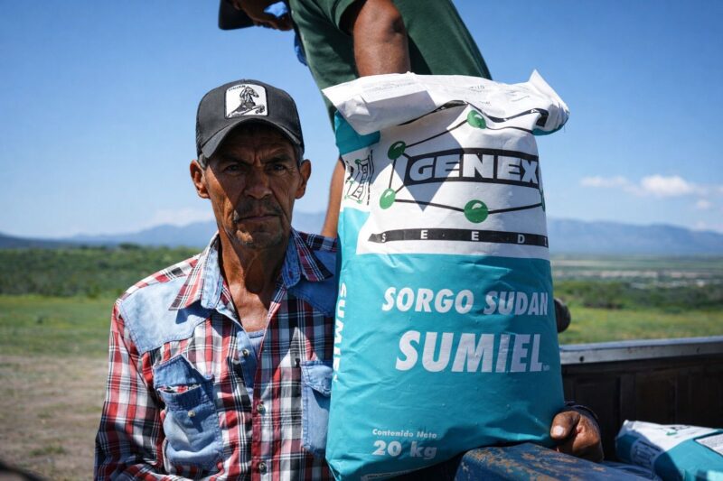 Lista convocatoria para apoyo en semilla de sorgo forrajero