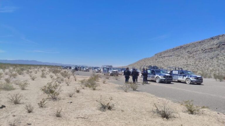 Ubican e inhabilitan pista clandestina en zona Aldama-Ojinaga