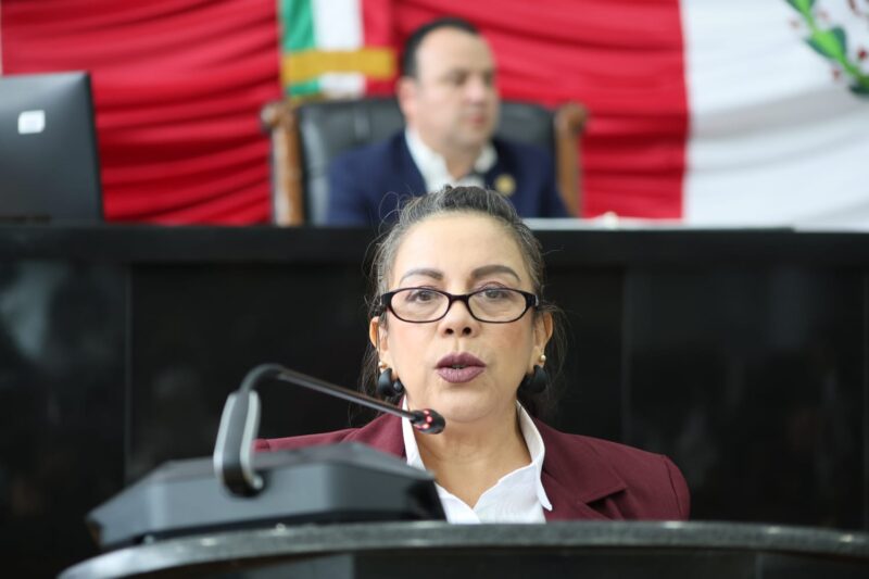 Urge endurecer reglas a videojuegos y evitar el acoso a menores de edad: diputada Magdalena Rentería