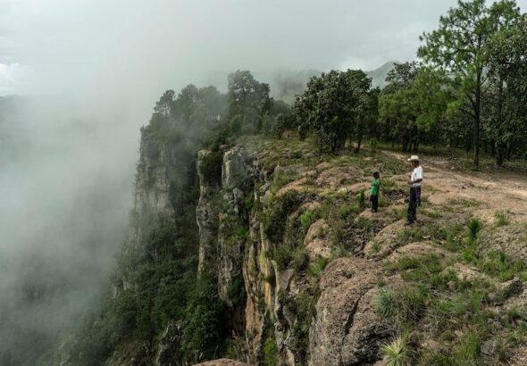 Violencia y tensión en la sierra: narcotráfico mantiene presión en regiones rurales