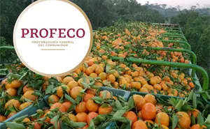 ¿Se te antoja un jugo? Profeco presenta precios mínimos y máximos del mango y naranja