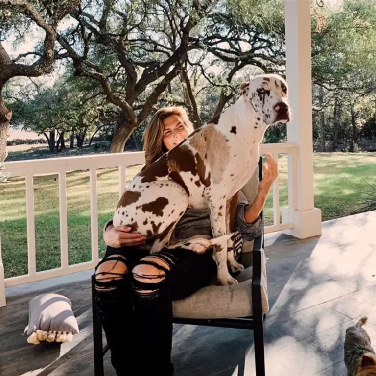 Así luce el gran rancho de Monserrat Oliver; con caballos, ruedo y más