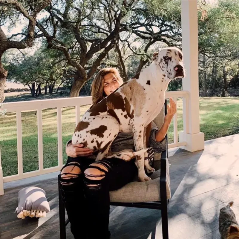 Así luce el gran rancho de Monserrat Oliver; con caballos, ruedo y más