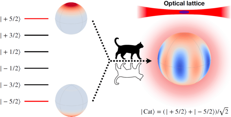 Logran mantener un “gato de Schrödinger” estable durante 1.400 segundos