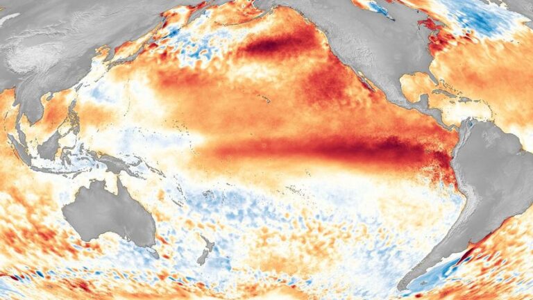 Crecen las señales de un posible Súper El Niño que podría provocar inundaciones, sequías e incendios
