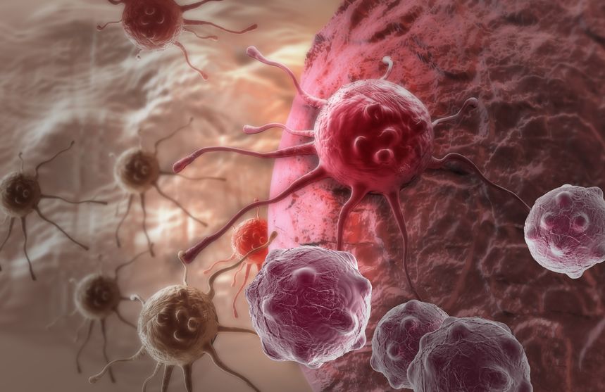 cancer - cancer