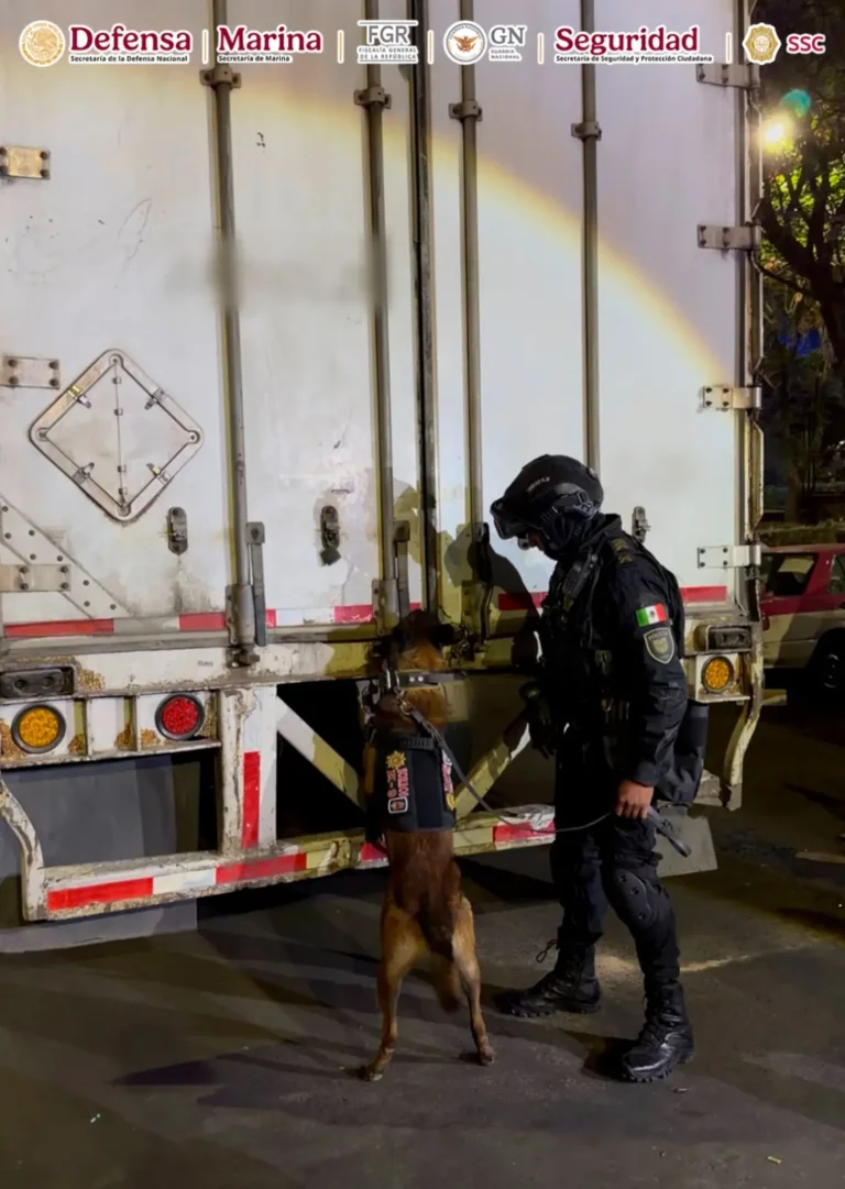Droga en cajas de huevo en CDMX: detienen a 4 con más de una tonelada