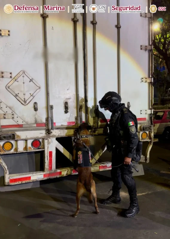 Droga en cajas de huevo en CDMX: detienen a 4 con más de una tonelada