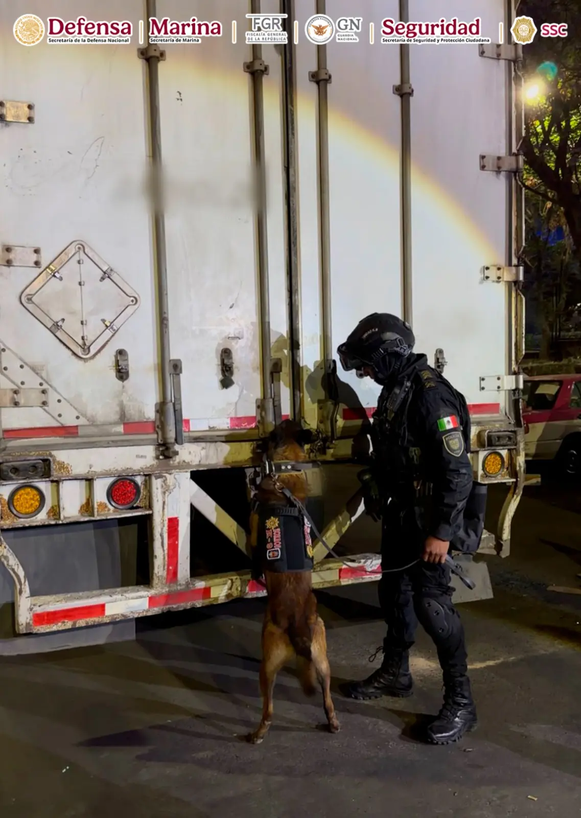 En Álvaro Obregón, CDMX, se descubrió un cargamento de droga escondido en cajas de huevo; el operativo dejó cuatro detenidos y millonarias pérdidas al crimen organizado.