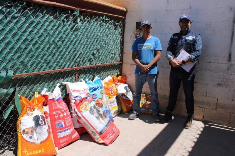 Ayuda Croquetón a más de 500 perros y gatos rescatados
