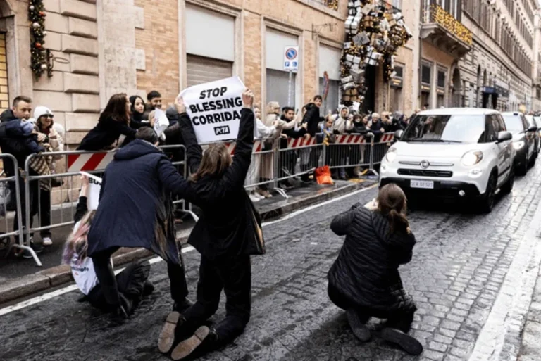 Simpatizantes de PETA detienen papamóvil para protestar contra la «aprobación» de la Iglesia a la tauromaquia