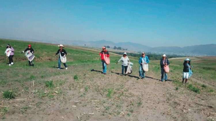 Campesinos critican recorte de apoyos al campo