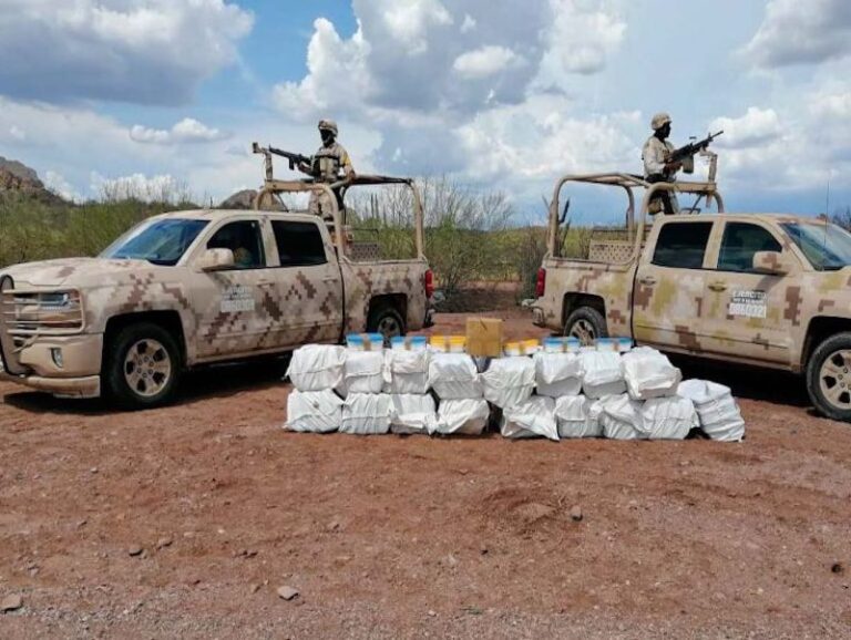 Chihuahua Bajo Presión: Millonarios Decomisos Golpean al Narcotráfico en el Estado