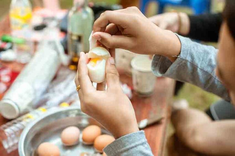 El huevo es un alimento completo, accesible y nutritivo