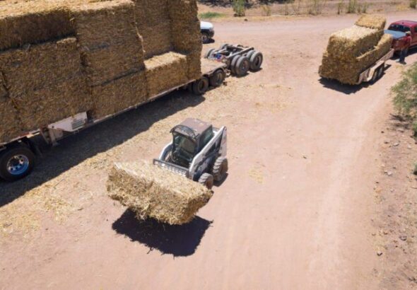 Entregan pacas de rastrojo a productores de Parral