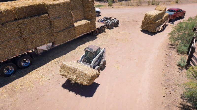 Entregan pacas de rastrojo a productores de Parral