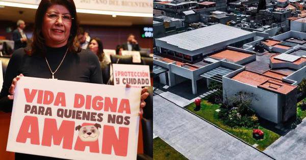Exhiben mansión de 36 millones de senadora de Morena y estalla polémica por omisión patrimonial