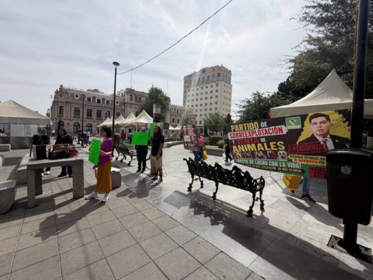 Exigen activistas no aprobar la regulación de venta de animales por internet