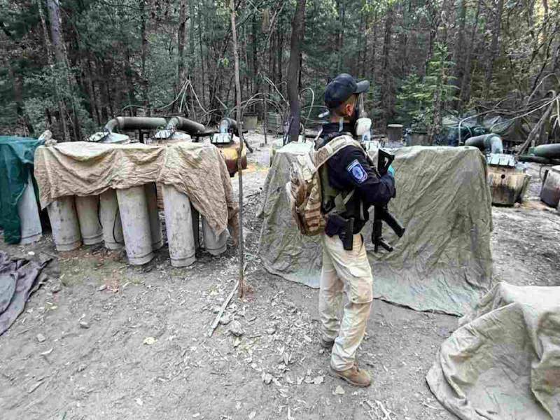 Operativos contra el narco dejan fuertes decomisos en Chihuahua