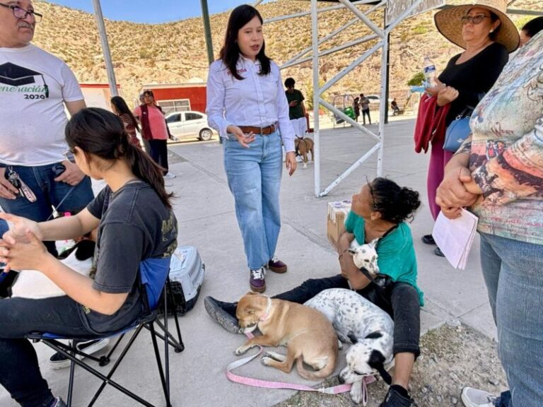 Realiza diputada Jael Argüelles 200 esterilizaciones en Palo Chino