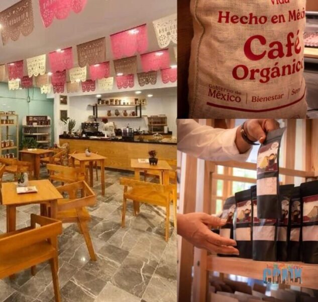 Tiembla Starbucks: Cacfetería del Bienestar sacude Reforma y ahora busca competir con café mexicano