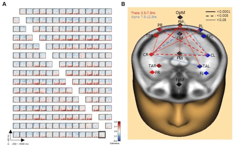 Escribir a mano activa el cerebro de formas que el teclado no puede igualar
