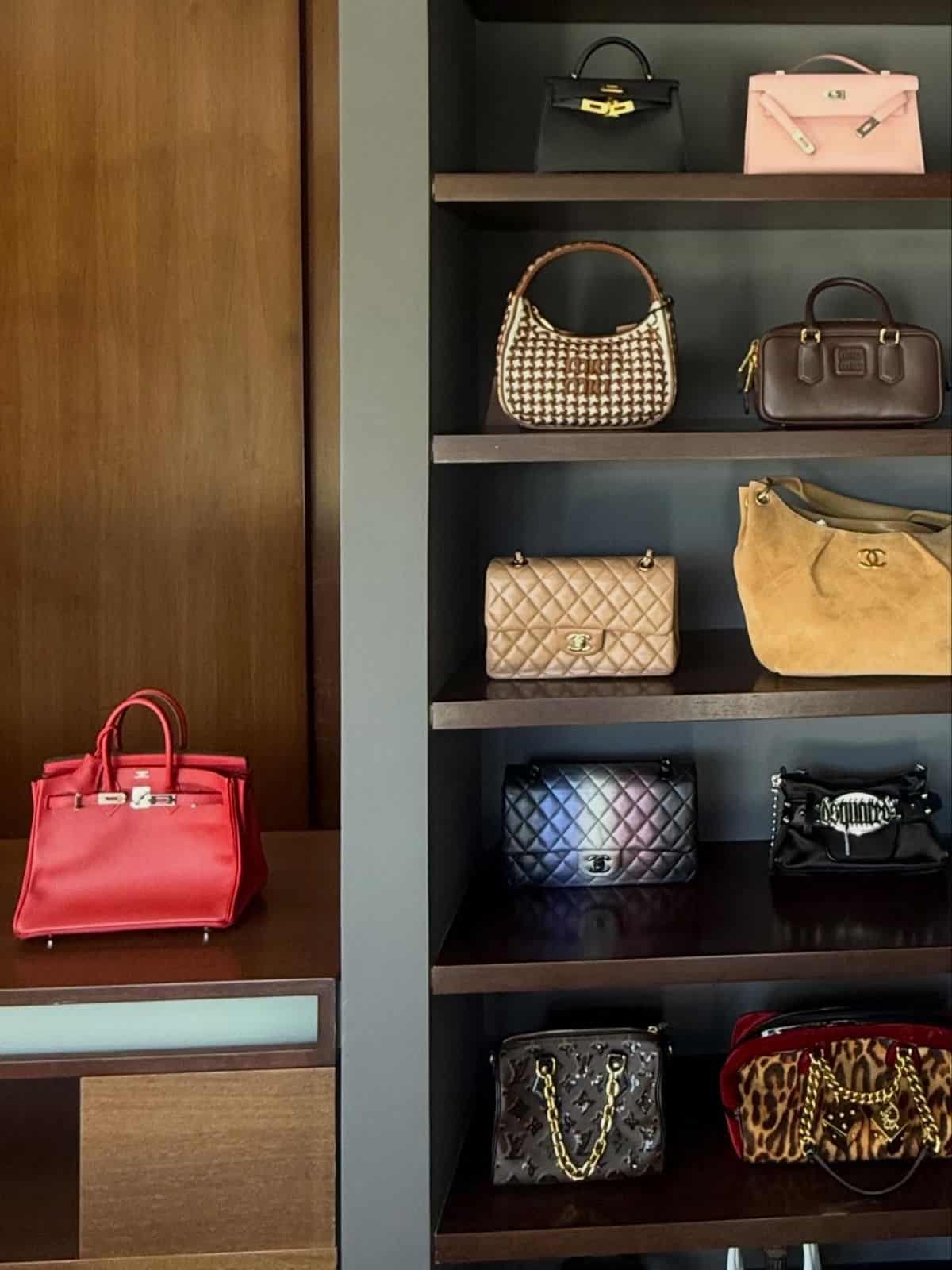Colección de bolsas 