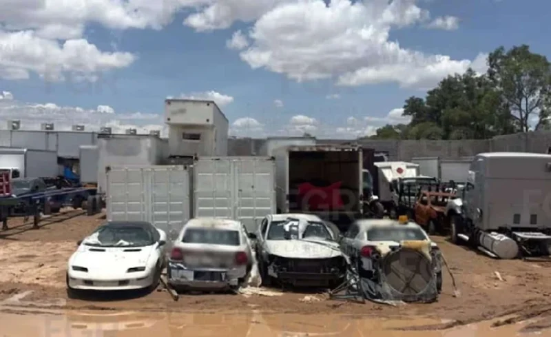 Cateo de la FGR en San Luis Potosí destapa predio con leones, un tigre y miles de neumáticos asegurados