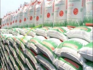 Agricultura entrega fertilizantes a 1.7 millones