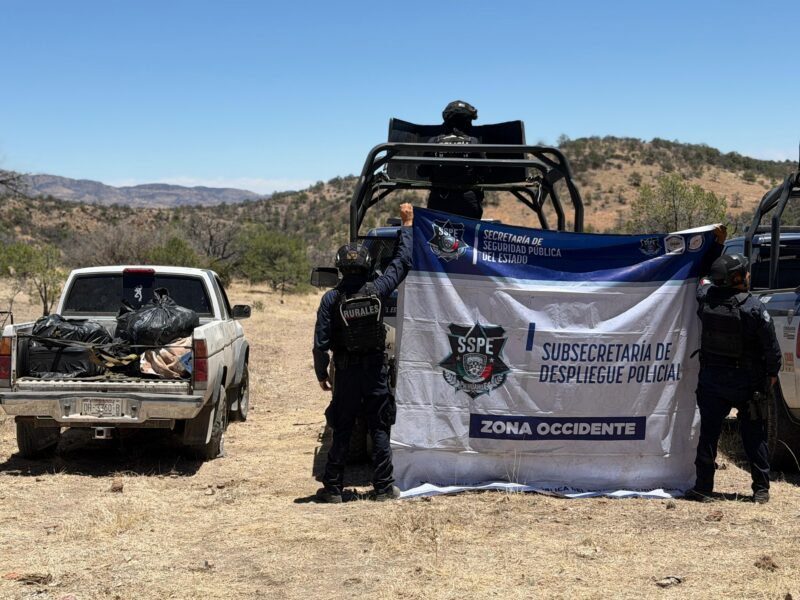 Aseguran droga y camioneta en Cusihuiriachi