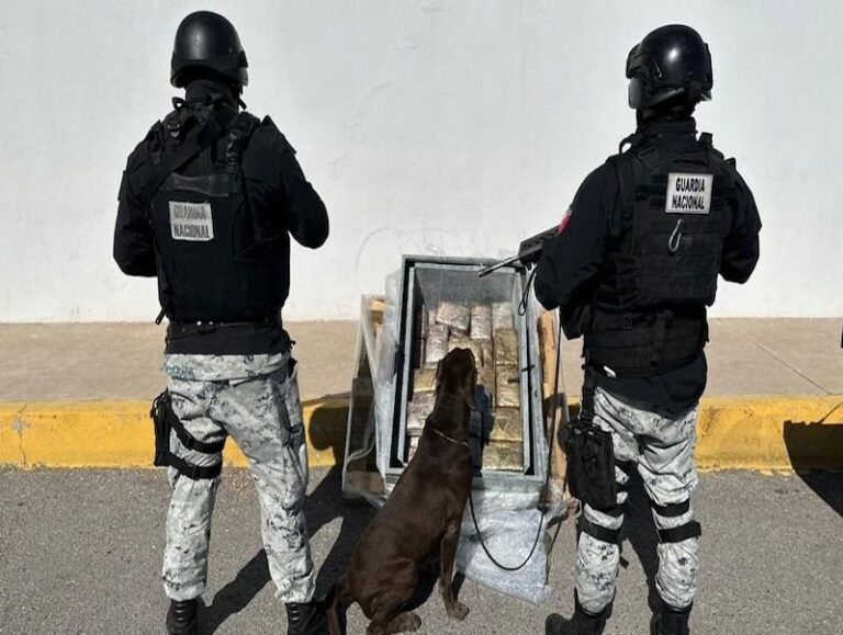 Capturan a cuatro personas con droga en la capital del estado