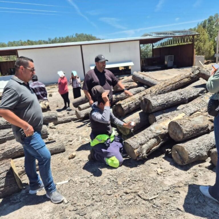 Concluye UACH proyecto para fortalecer producción forestal en Guadalupe y Calvo