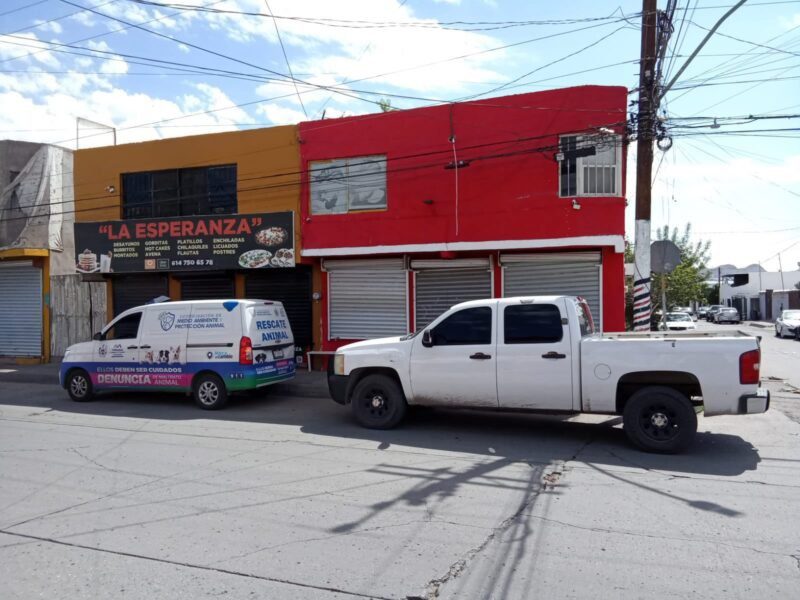 Detienen a hombre por presunto arrastre de un animal en calles de Chihuahua