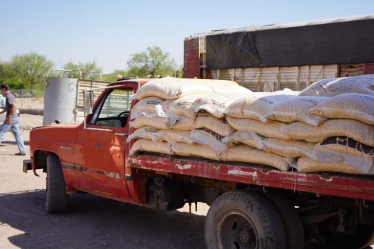 Entregan alimento para ganado a mil 150 productores de la zona rural de la capital