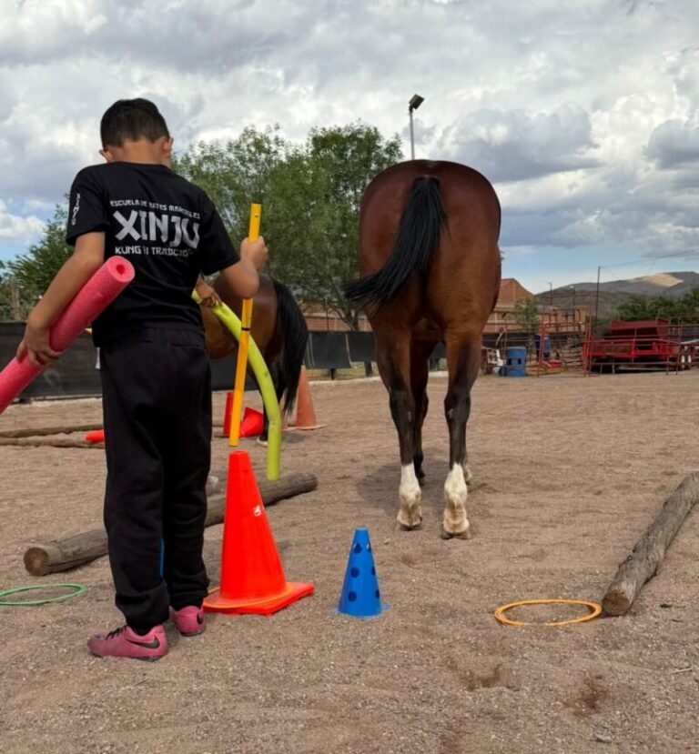 Fiscalía impulsa terapias con caballos para apoyar la recuperación emocional de víctimas