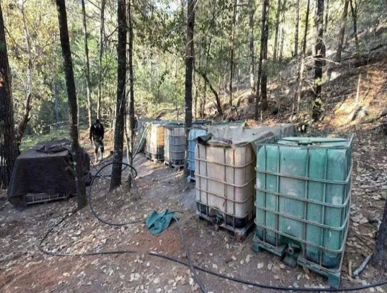 Golpe millonario al narcotráfico: desmantelan laboratorio clandestino de drogas sintéticas en Chihuahua
